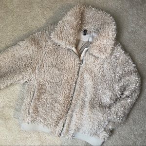 Teddy Bear Bomber